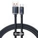 Кабель Baseus Crystal Shine Series Type-C 100W (1.2m) black 3603 фото 1